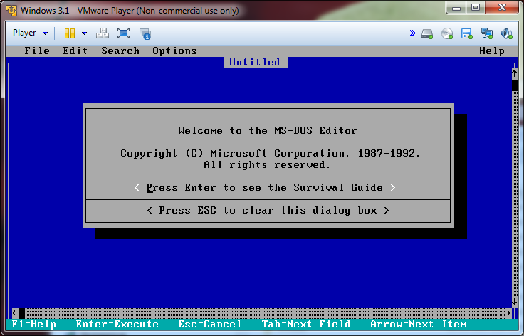 Installing Windows 3.1 in VMware Player