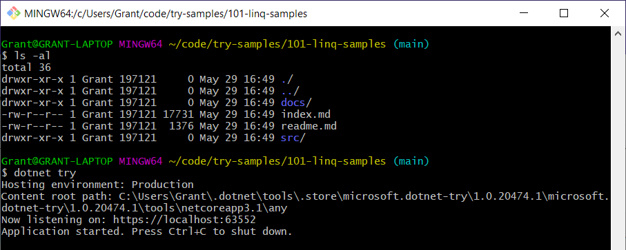 What is DotNet Try?