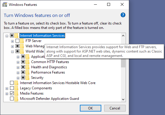 Displaying an IIS hosted site in CEFSharp